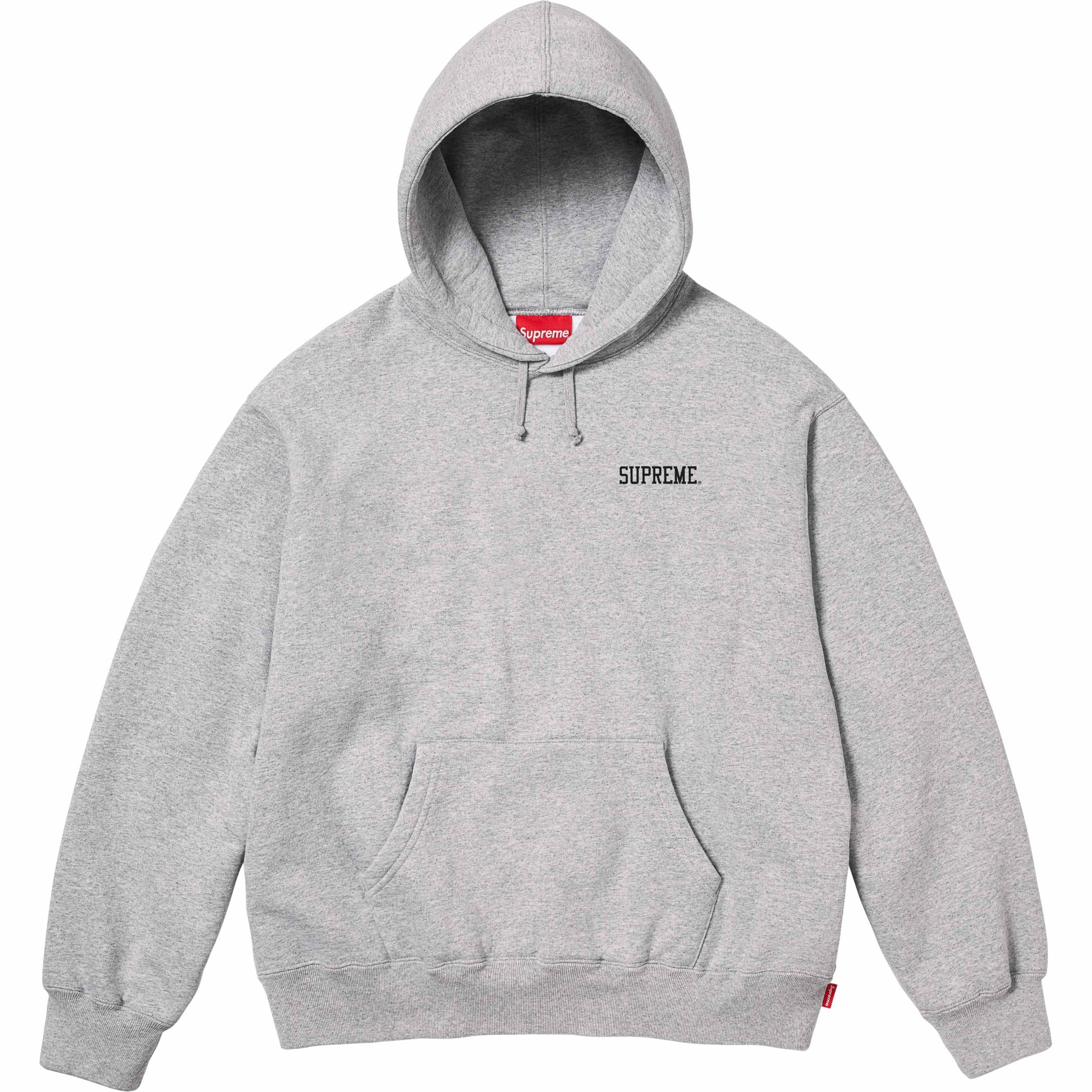 Doggs Hooded Sweatshirt view 13